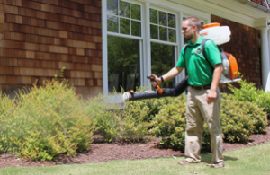 Mosquito Joe of Des Moines Technician Spraying Barrier Treatment on shrubbery