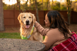 Woman playing with her dog outside. 